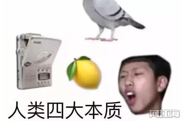 双标是什么意思 区别对待的另一种说法意思不变