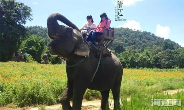 泰国旅游攻略必去景点 有哪些比较好玩的景点