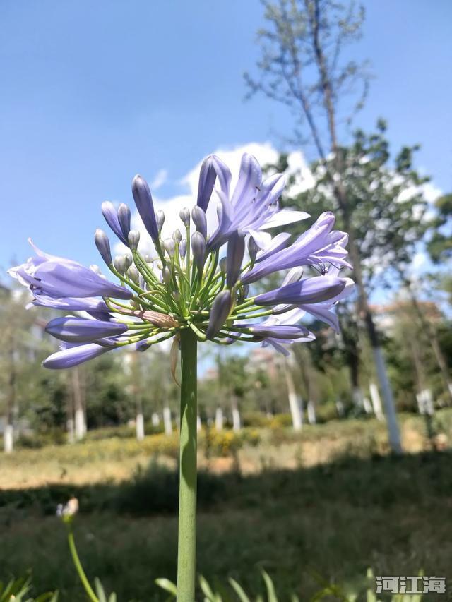 天人合一是什么意思 简单的说人与自然息息相通