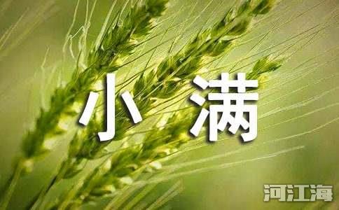 暖心小满时节祝福语