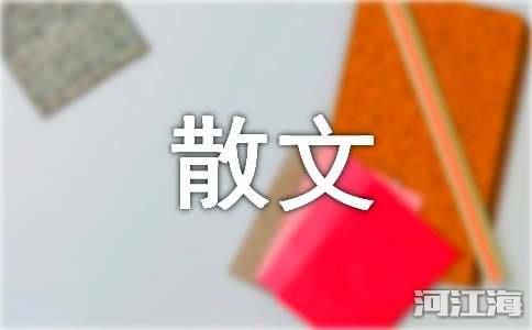 生活情感散文随笔