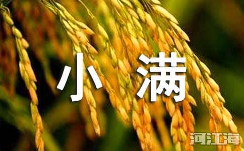 小满节气里的诗句