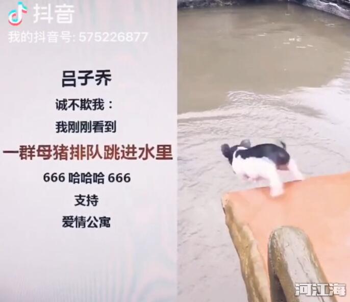 诚不我欺什么意思 第14集中吕子乔的名台词