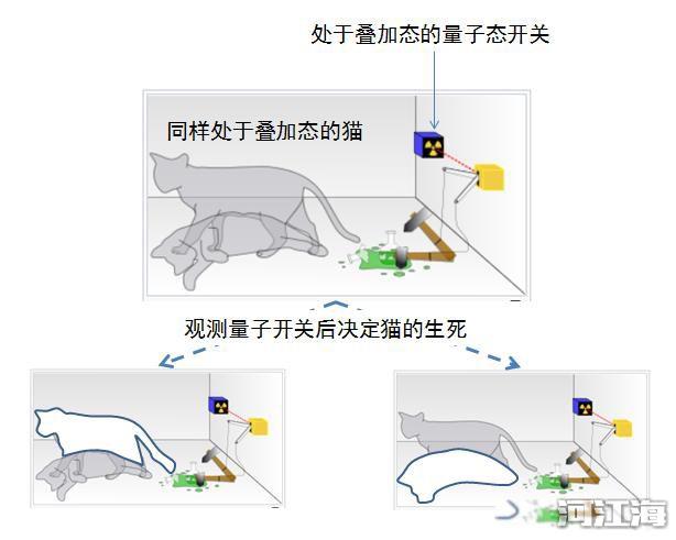 量子力学被证实生命就毫无意义 量子现象背后的本质