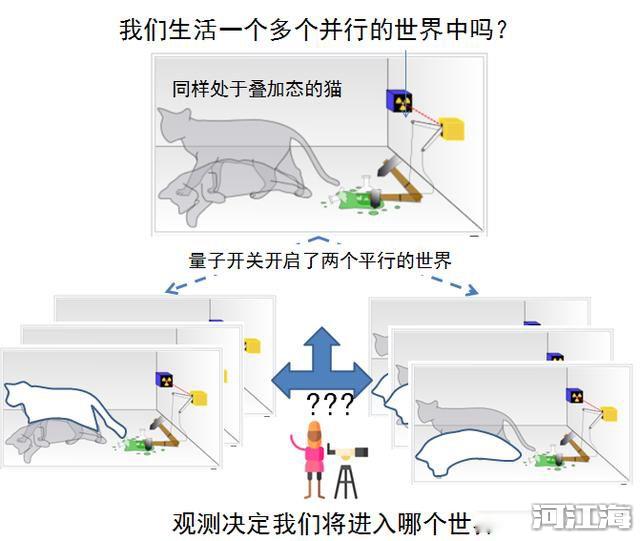 量子力学被证实生命就毫无意义 量子现象背后的本质