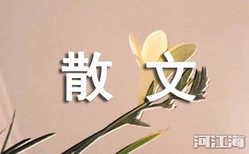 生活散文随笔